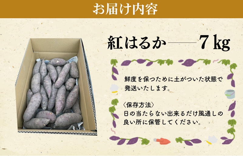 北山さんちのさつまいも 紅はるか 7kgさつまいも サツマイモ 薩摩芋 いも 芋 ほくほく 産地直送 新鮮 野菜 季節の野菜 旬 直送