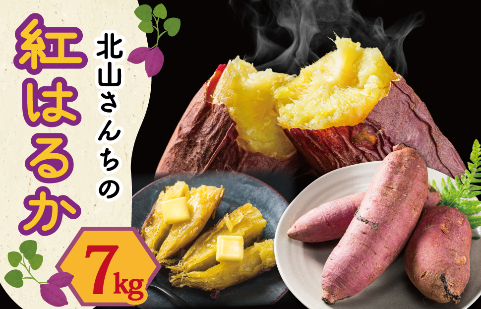 åå±±ããã¡ã®ãã€ãŸãã çŽ
ã¯ãã 7kgãã€ãŸãã ãµããã€ã¢ è©æ©è ãã è ã»ãã»ã ç£å°çŽé æ°é®® éè å£ç¯ã®éè æ¬ çŽé