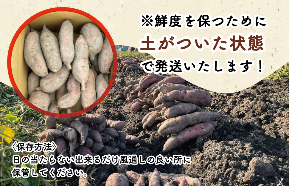 åå±±ããã¡ã®ãã€ãŸãã å®çŽè 7kg ãã€ãŸãã ãµããã€ã¢ è©æ©è ãã è ã»ãã»ã ç£å°çŽé æ°é®® éè å£ç¯ã®éè æ¬ çŽé