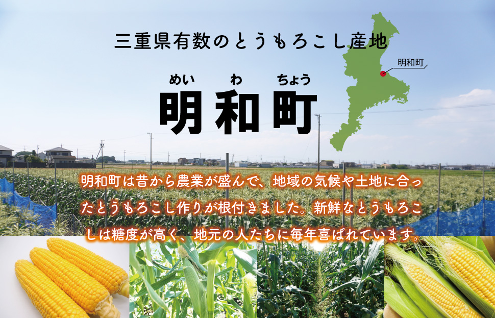 明和町産 朝採れ とうもろこし ゴールドラッシュ 10本～12本 BBQ 人気 トウモロコシ 生 野菜 新鮮 採れたて 産地直送 朝どれ 甘い 期間限定 国産 旬 夏野菜 きたむら