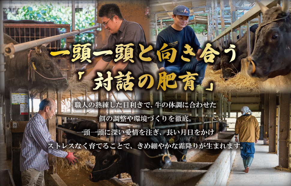 æŸéªç å³éž åãèœãšã 250g A5ã©ã³ã¯ A5ççŽ åœç£ç A5 çè 䜿ãããã ãã©ã³ãç å°éåã ã°ã«ã¡ å·å ãåãå¯ã äŸ¿å© MA4