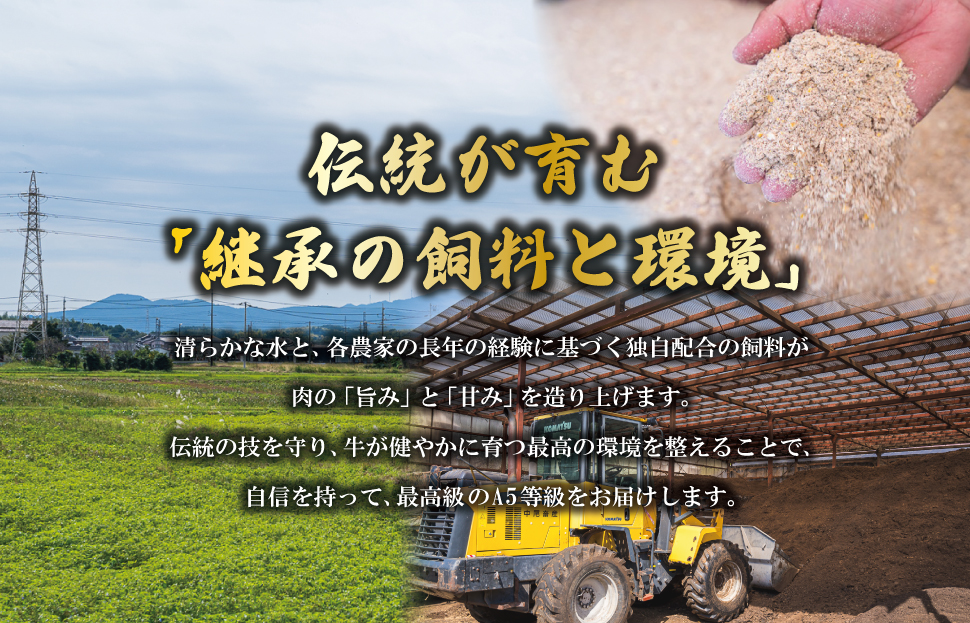 æŸéªç å³éž åãèœãšã 250g A5ã©ã³ã¯ A5ççŽ åœç£ç A5 çè 䜿ãããã ãã©ã³ãç å°éåã ã°ã«ã¡ å·å ãåãå¯ã äŸ¿å© MA4