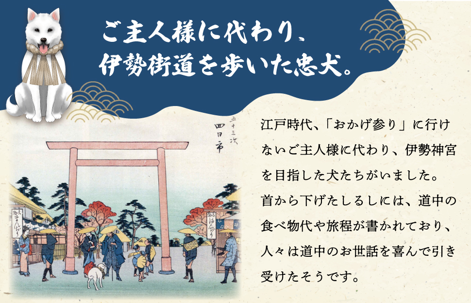 æŸéªæšç¶¿ ã¿ããšç¹ ãããç¬ ã¬ãããã¿ å° å°æ+ãã座åžå£ ããã¹ã ã«ã©ãŒ éé ãäŒå¢åã å¿ ç¬ ãããç¬ã°ã㺠åç¬ å¯æã ãããã ã¬ãããã¿ å¥è å¥åº·åå¢é² äžéçç£ ãåãå¯ã åŸ¡ç³žç¹ åŸ¡çµ²ç¹ç©