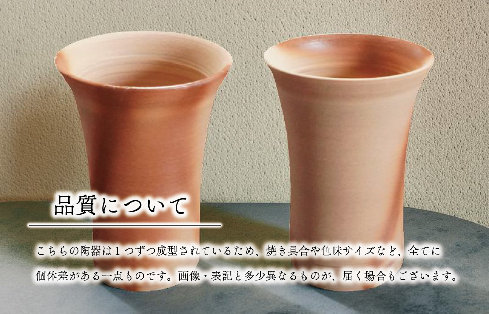泡立ち ビアマグ 備前焼　ビール タンブラー ビアグラス ビールグラス カップ 陶磁器 陶器 和食器 窯元 ギフト 備前 釉薬 緋襷 月華