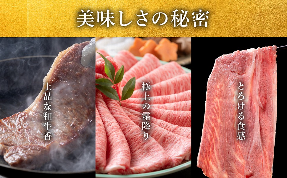 極上 松阪牛 プレミアム満喫 コース 定期便 12か月 牛追道中 肉 牛 牛肉 和牛 ブランド牛 高級 国産 霜降り 冷凍 ヒレ シャトーブリアン 赤身 ハンバーグ リブロース サーロイン すき焼き しゃぶしゃぶ US35