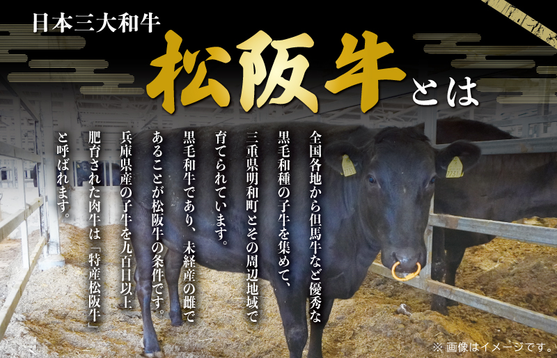  [年内配送12/22まで] 特産松阪牛 ロース しゃぶしゃぶ 500g 友屋本店 極上の柔らかさ 化粧箱入り 柔らかい 霜降り ブランド牛 国産 冷凍 焼肉 焼きしゃぶ 焼きすき 松坂牛 松阪肉 和牛 牛肉 三重県 A4 A5 特産 NT5