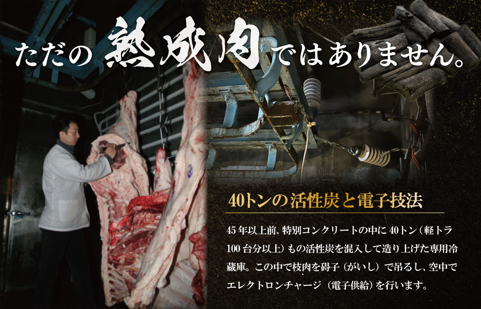 元祖電子肉 牛ロース・肩ロース 500g 進物用 贈答用 中一 肉 牛 牛肉 和牛 高級 国産 霜降り 冷凍 人気 すき焼き しゃぶしゃぶ NI1