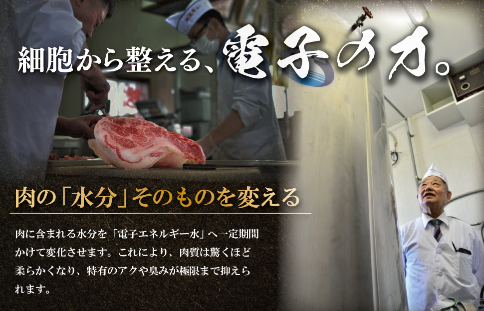 元祖電子肉 牛ロース・肩ロース 500g 進物用 贈答用 中一 肉 牛 牛肉 和牛 高級 国産 霜降り 冷凍 人気 すき焼き しゃぶしゃぶ NI1