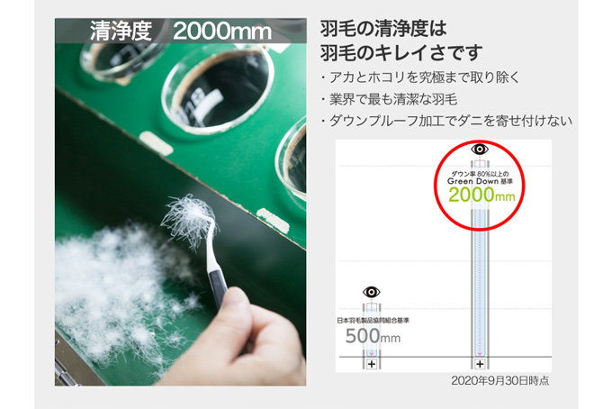 【河田フェザー使用】 羽毛 掛けふとん ECO ホワイト ダブルロング 190×210 ECOダウン フェザー 高級 ふとん 布団 フトン 寝心地 品質 高級 ホテル 掛け布団 日本製 河田フェザー 羽毛布団 睡眠 エコ ダブル 清潔 Z1
