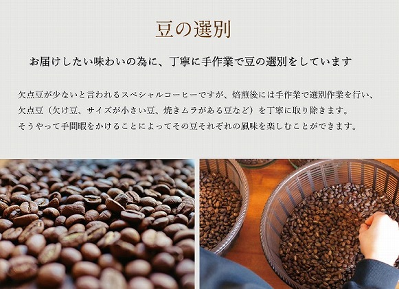 L7【１ヶ月ごとの定期便】OTOMONI COFFEE店主お勧め豆をお届け！２５０g×２袋「豆」