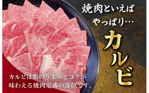 松阪牛 焼肉 （カルビ） 800g 肉 牛 牛肉 和牛 ブランド牛 高級 国産 霜降り 冷凍 ふるさと 人気 焼肉用 BBQ バーベキュー カルビ SS19