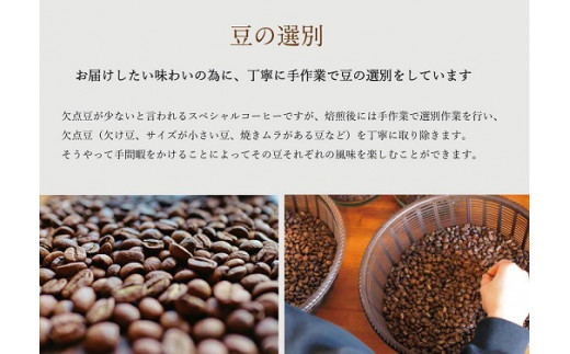 【1ヶ月ごとの定期便】 OTOMONI COFFEE 店主 お勧め 豆をお届け！ ２５０g×２袋「粉」 コーヒー 珈琲 焙煎 自家焙煎 豆 粉 COFFEE おすすめ くつろぎ おうち時間 定期便 OT6