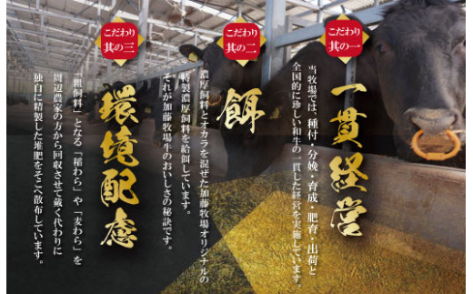 【柿安】 松阪牛 肩 すき焼き 700g 肉 牛 牛肉 和牛 ブランド牛 高級 国産 霜降り 冷凍 ふるさと 人気 しゃぶしゃぶ 肩肉 赤身 あっさり なめらか