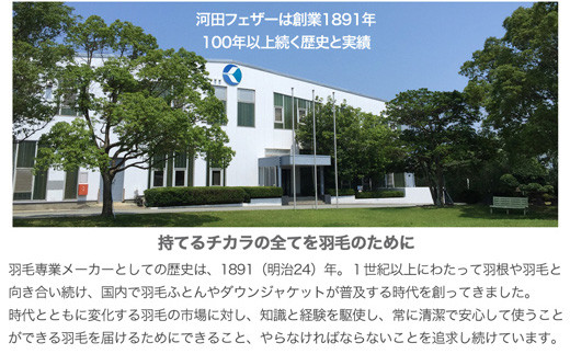 【河田フェザー使用】 ゆったり大きめ やわらか 三層羽根まくら （GP-3） ECOダウン フェザー 高級 まくら マクラ 枕 寝具 寝心地 品質 高級 ホテル 日本製 河田フェザー 羽毛 睡眠 清潔 AE1