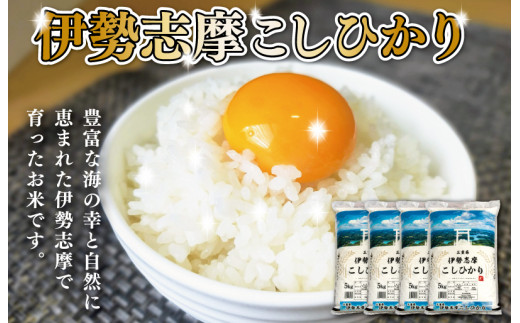 【2025年3月後半発送】令和6年 三重県産 伊勢志摩 コシヒカリ 20kg D-42