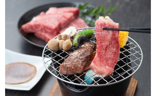 æŸéªççŒèïŒããŒã¹ïŒ 500g ïŒ æŸéªç å·å ç¬å€é£å JGAPèªå® æŸéªè åç£ ãåãå¯ãã°ã«ã¡ çè ãè è åç 黿¯åç åœç£ åœç£ç æŸéªç çŒè çŒèçš ããŒã¹ ãã©ã³ãç å®¶åºçš ã®ãã èŽççš èµ€èº« ééã ç£å°çŽé æŸéª ç äžéç 倧å°çº (0032)