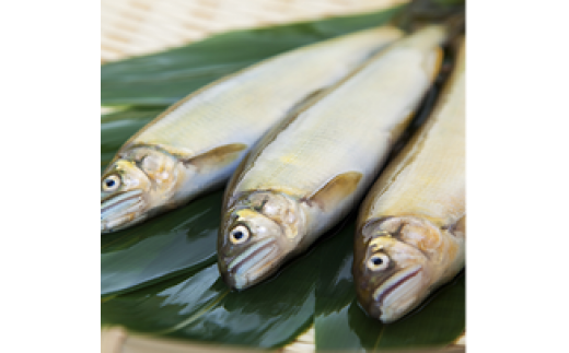 鮎　甘露煮　６匹（袋入り）セット／宮川物産　あゆ　和食　お取り寄せグルメ　三重県　大台町