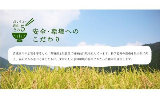 超特Ａ 奥伊勢米 つぶら ５kg ／ 宮川TK 食味値８０％以上 みえの安心食材 認定米 ブランド米 三重県 大台町