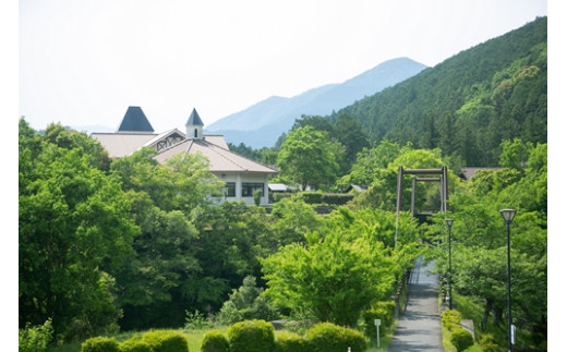 奥äŒå¢ ãã©ã¬ã¹ãã㢠宮å·å±±è å©çšåž 1000ååÃ30æïŒå©çšæéãªã ãã±ãã ã¯ãŒãã³åž å®¿æ³ å
¥æµŽ BBQ ããŒããã¥ãŒ ã¢ã¹ã¬ãã㯠ã¬ã³ã¿ãµã€ã¯ã« æž©æ³ ã¬ã¹ãã©ã³ å«è¶åº äœéš 宿æ³åž è¿ç¿å°æ¹ æ±æµ·å°æ¹ äžéš èªç¶ ããã« å®¶æ äžéç 倧å°çº (00108)