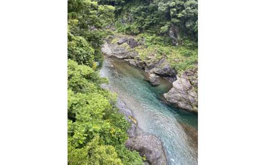（冷蔵）　鮎　約1.4kg　／大森水産　あゆ　お取り寄せグルメ　川魚　和食　三重県　大台町