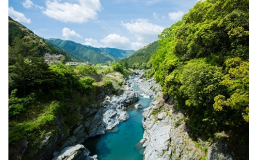 こしひかり 精米 20kg ／ 積木商店 お米 白米 米 こめ ご飯 おいしいお米 三重県 大台町