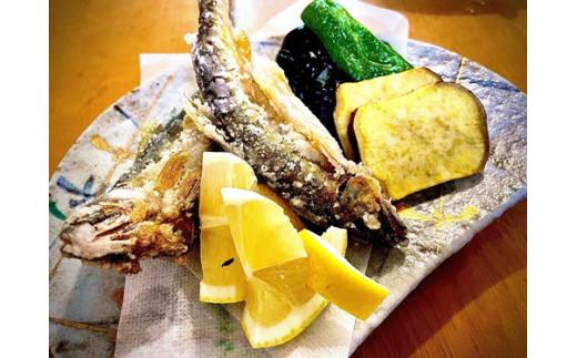 螟ゥ辟カ 魄趣シ育函シ 5蟆セシ 蜀キ蜃 縺縺ィ縺 縺ゅf 蟾晞ュ 縺碑ェ螳逕ィ 螳カ蠎ュ逕ィ 繧ョ繝輔ヨ 雍育ュ皮畑 逵溽ゥコ繝代ャ繧ッ 荳蛾咲恁 螟ァ蜿ー逕コ (314)