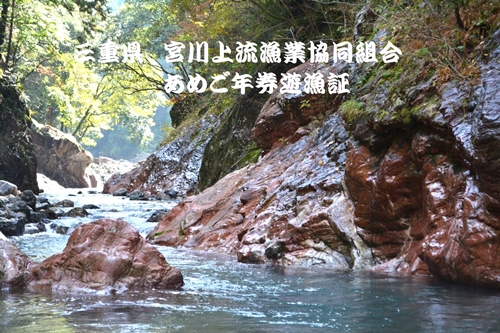 三重県 宮川上流漁業協同組合 あめご 年券 遊漁証 ／ 釣り 川釣り アウトドア チケット 体験 釣り体験 クーポン券 年間パス 近畿地方 東海地方 中部 釣り好き ギフト 贈答用 三重県 大台町 (396)