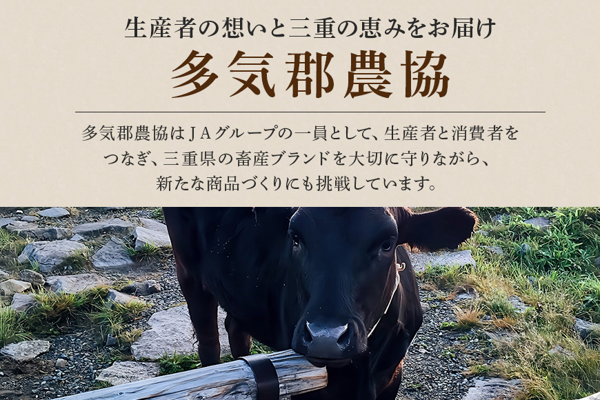 松阪牛 小間切れ 約400g ／ 冷凍 多気郡農協 和牛 黒毛 特産品 松阪肉 牛肉 お肉 肉 牛 こま切れ ブランド牛 ご自宅用 家庭用 ギフト 贈答用 産地直送 松阪 牛 三重県 大台町 (339)