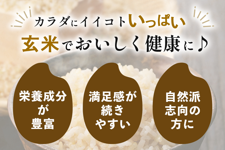 【定期便6回】こしひかり 玄米 5kg (計30kg) 真空パック A17-018