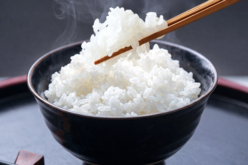 こしひかり 精米 20kg ／ 積木商店 お米 白米 米 こめ ご飯 おいしいお米 三重県 大台町