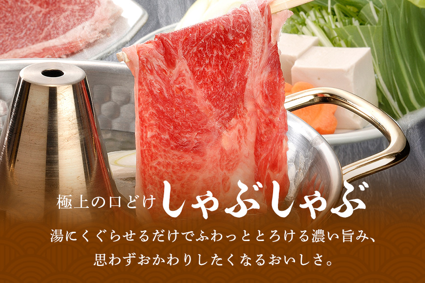 松阪牛 シルクロース しゃぶしゃぶ 500g／ 冷凍 瀬古食品 JGAP認定 松阪肉 名産 お取り寄せグルメ 牛肉 お肉 肉 和牛 黒毛和牛 国産 国産牛 松阪牛 ブランド牛 ご自宅用 家庭用 ギフト 贈答用 産地直送 松阪 牛 ロース しゃぶしゃぶ用 三重県 大台町 (0047)