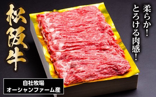 松阪牛 しゃぶしゃぶ用（赤身）500g／ 冷凍 ギフト箱包装 瀬古食品 JGAP認定 松阪肉 名産 お取り寄せグルメ 牛肉 お肉 肉 和牛 黒毛和牛 国産 国産牛 松阪牛 しゃぶしゃぶ 鍋 ブランド牛 ギフト 贈答 産地直送 松阪 牛 赤身 薄切り 三重県 大台町 (0037)
