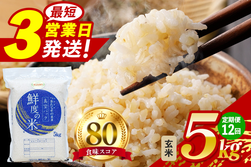 【定期便12回】こしひかり 玄米5kg (計60kg) 真空パック A17-019