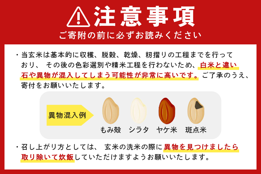 【定期便12回】こしひかり 玄米5kg (計60kg) 真空パック A17-019