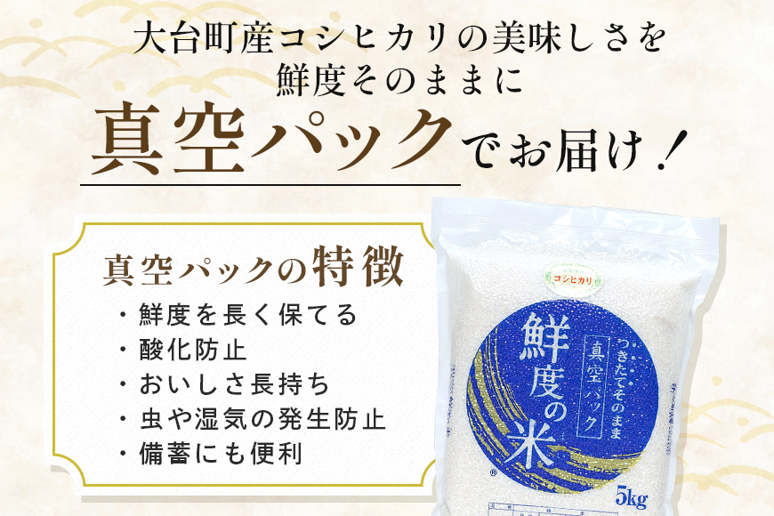 【定期便6回】こしひかり 玄米 5kg (計30kg) 真空パック A17-018