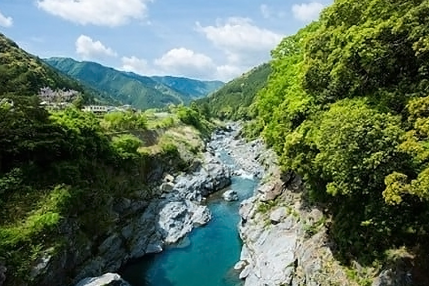 こしひかり 精米 5kg 奥伊勢茶（5g×20）1袋 （2g×40）1袋 ／ 積木商店 お米 お茶 三重県 大台町