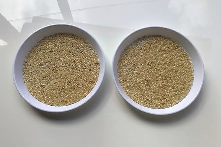 こしひかり 精米 20kg ／ 積木商店 お米 白米 米 こめ ご飯 おいしいお米 三重県 大台町