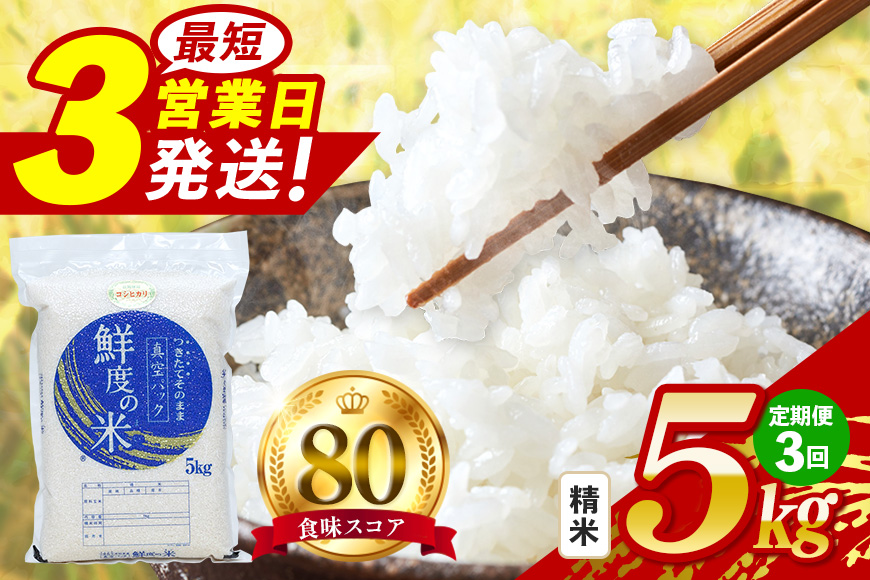 【定期便3回】こしひかり 精米 5kg (計15kg) 真空パック A17-014