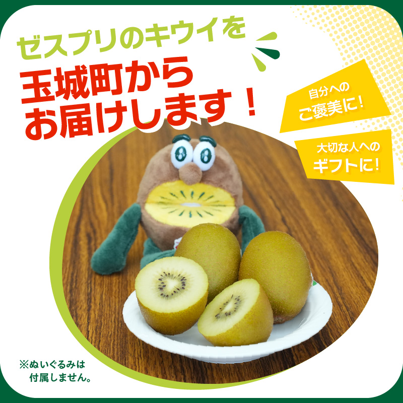 【先行予約】2026年度発送 三重県玉城町産 ゼスプリ サンゴールドキウイ 約2kg