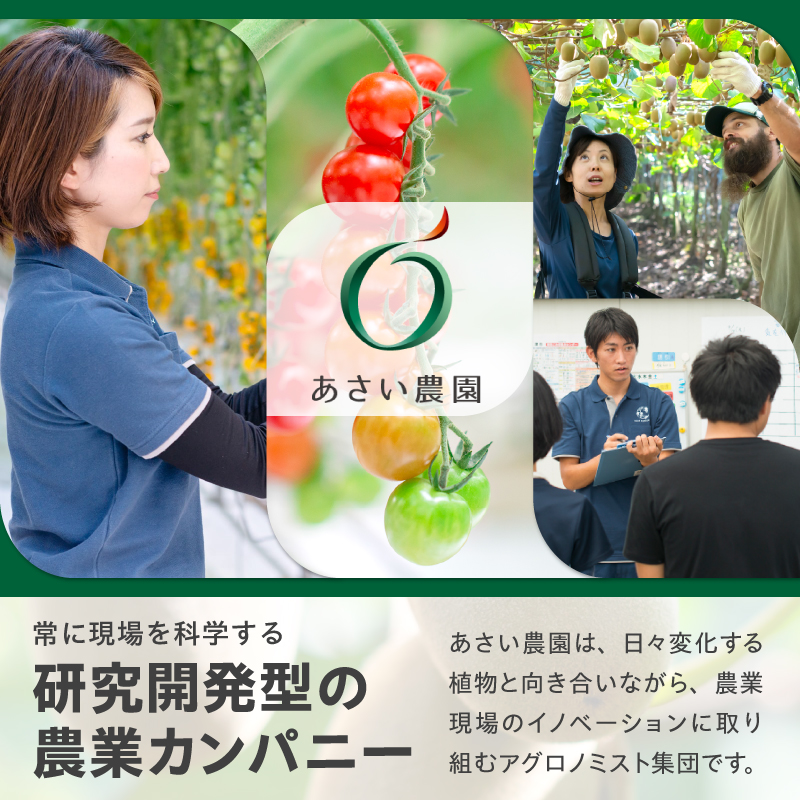【先行予約】2026年度発送 三重県玉城町産 ゼスプリ サンゴールドキウイ 約2kg