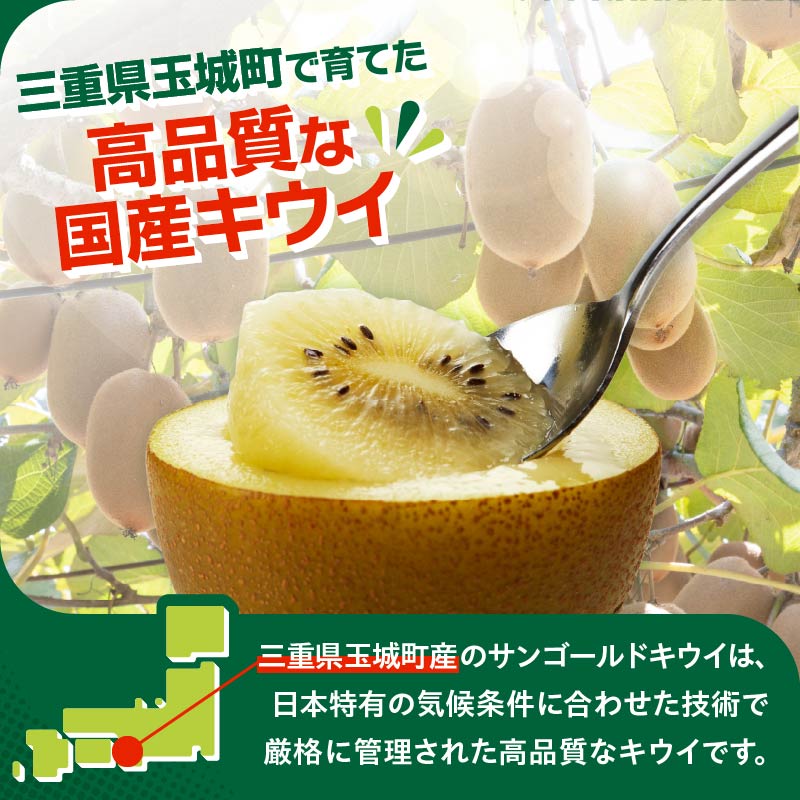 【先行予約】2026年度発送 三重県玉城町産 ゼスプリ サンゴールドキウイ 約2kg