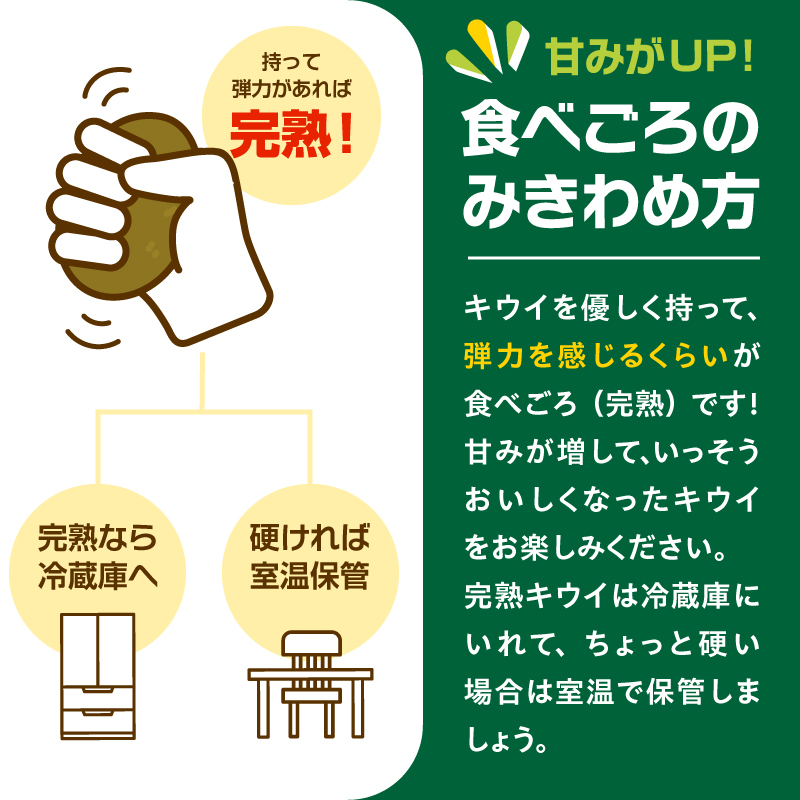 【先行予約】2026年度発送 三重県玉城町産 ゼスプリ サンゴールドキウイ 約5kg