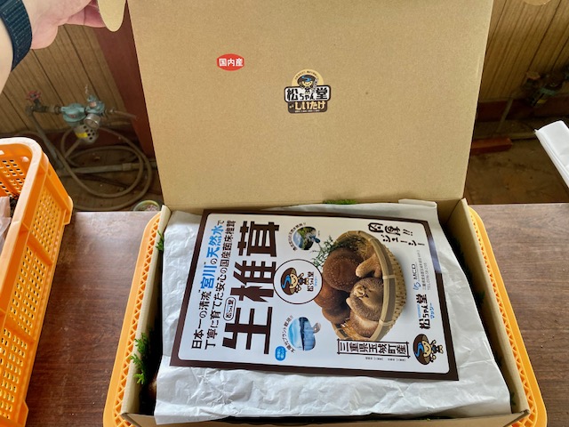 国内産菌床しいたけ1.2kg〜1.4kg