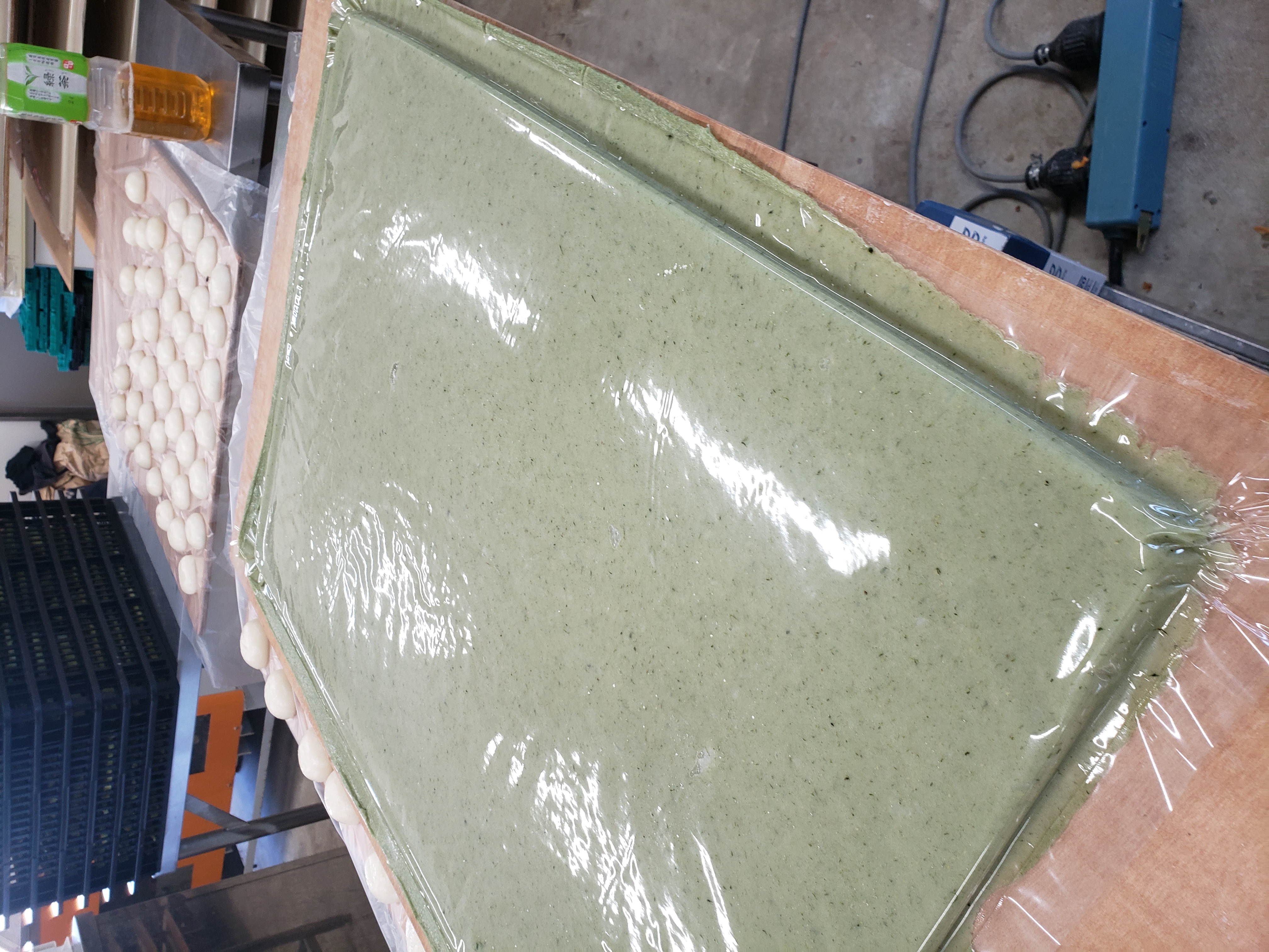 迚ケ蛻・譬ス蝓ケ邀ウ縺ョ縺企、繧サ繝繝