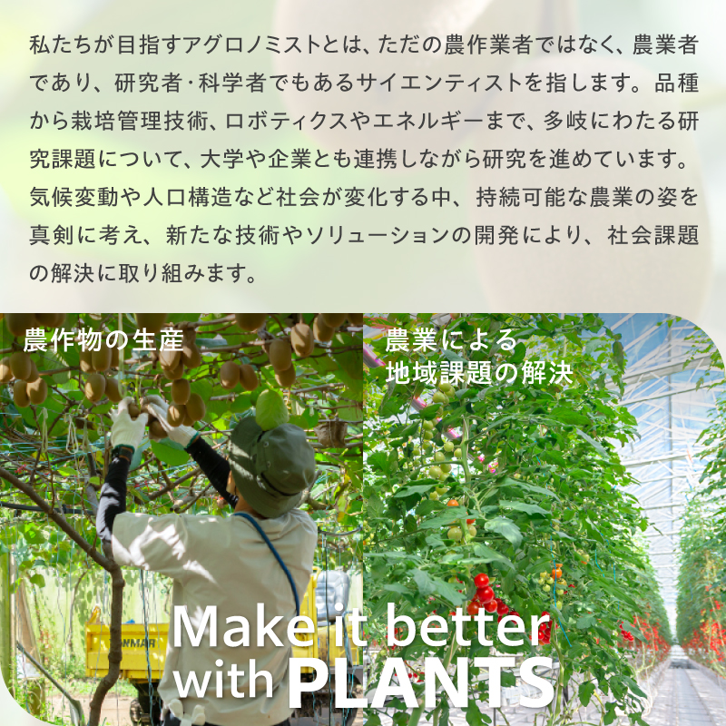 【先行予約】2026年度発送 三重県玉城町産 ゼスプリ サンゴールドキウイ 約2kg