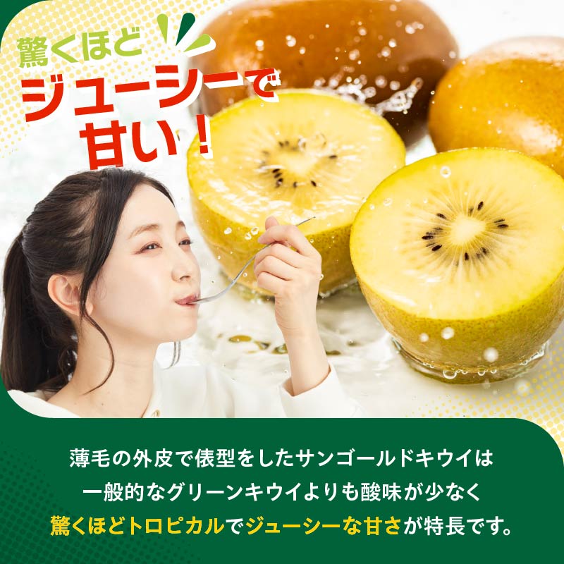 【先行予約】2026年度発送 三重県玉城町産 ゼスプリ サンゴールドキウイ 約5kg
