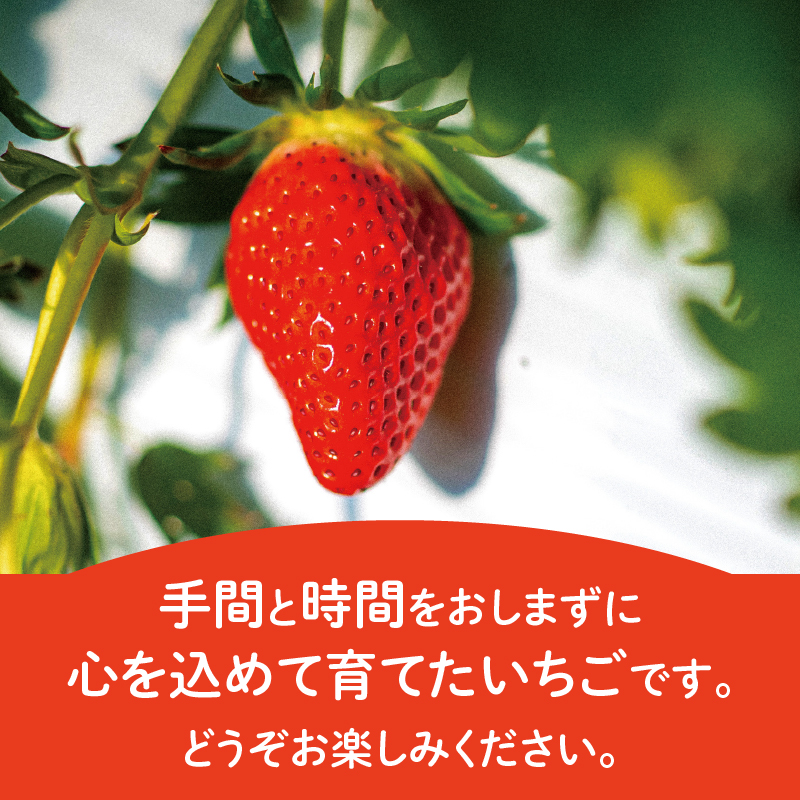 荳蛾咲恁邇牙沁逕」 縺縺。縺 縲檎ォ蟋ォ縲12邊貞・繧