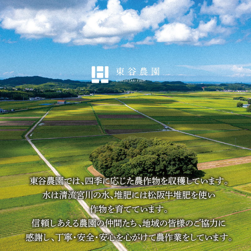 三重県玉城産 いちご 「かおりの」 12粒入り