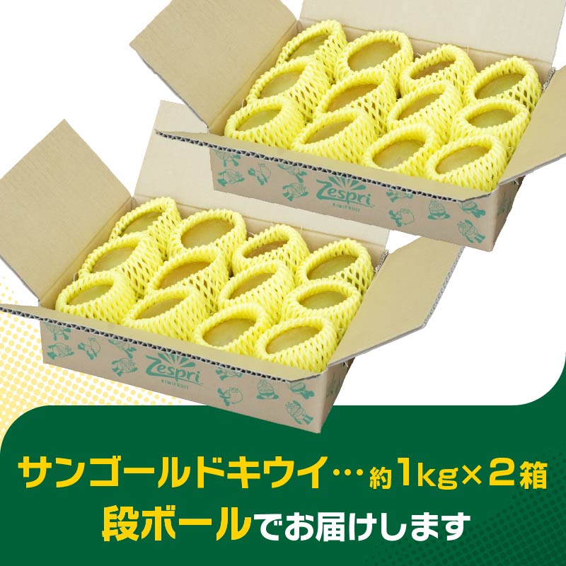 【先行予約】2026年度発送 三重県玉城町産 ゼスプリ サンゴールドキウイ 約2kg