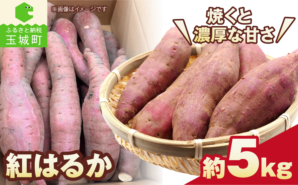 【先行予約】さつまいも（紅はるか） 約5kg